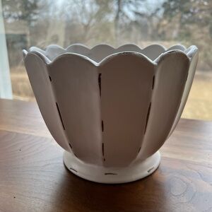 Harry & David Scallop Tulip Design Ceramic Pot (bulbs not included)